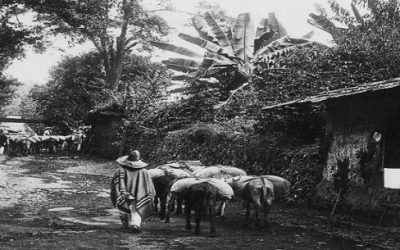 International Mission Photography Archive  USC Digital Library