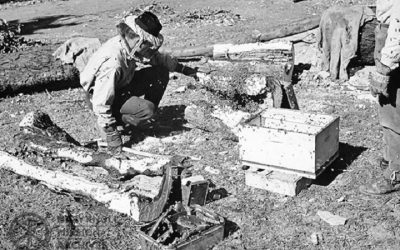 Life is Better When You’re Laughing