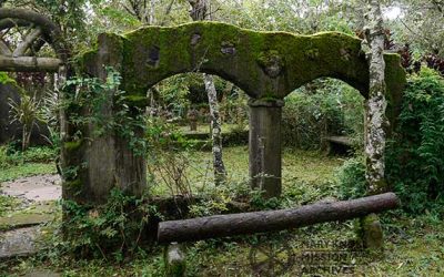 The Value of Contemplation