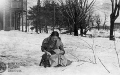 All Creatures Great and Small