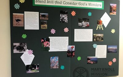 Stand Still And Consider God’s Wonders