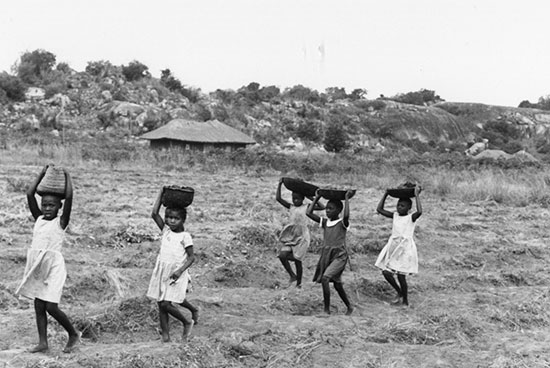 Children carrying the harvest, Tanzania