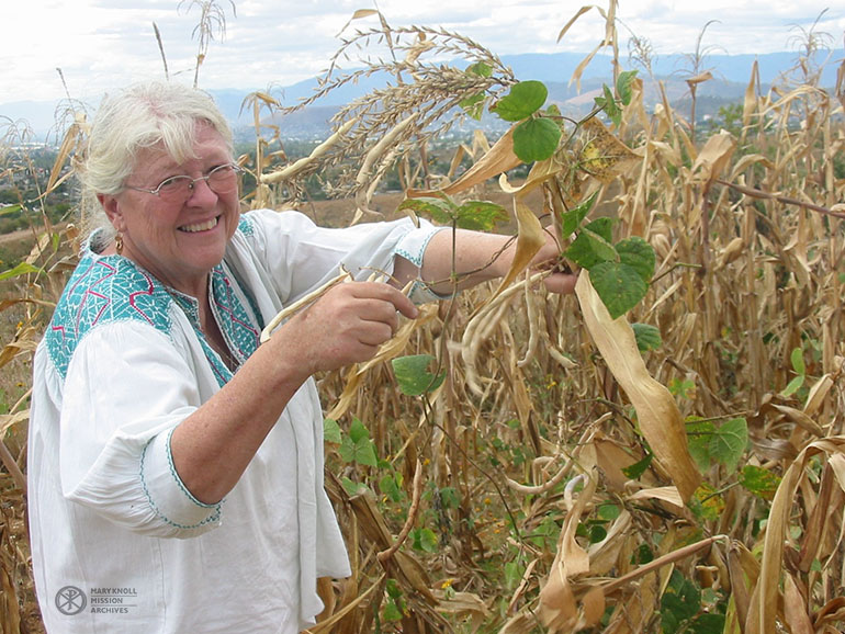 Lay Missioner Mary Denevan harvesting beans in Mexico