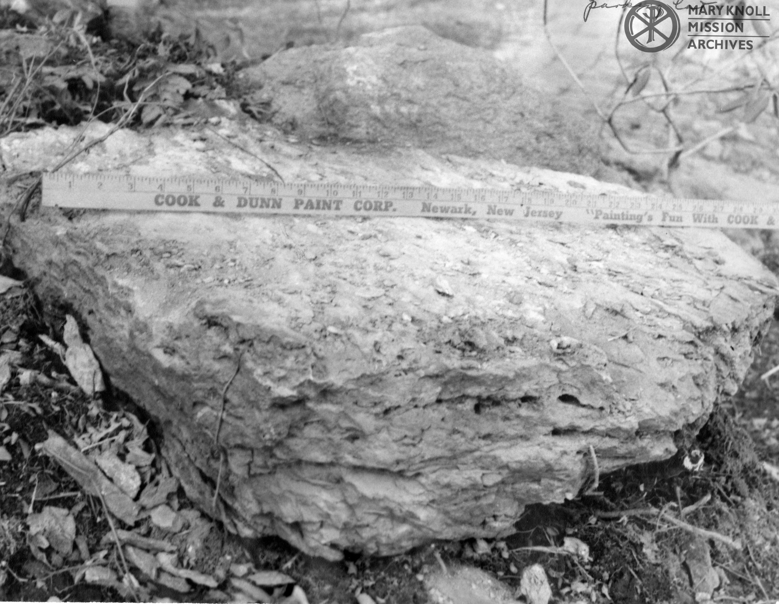 Bottom Half of Helderburg Rock with ruler, 1961