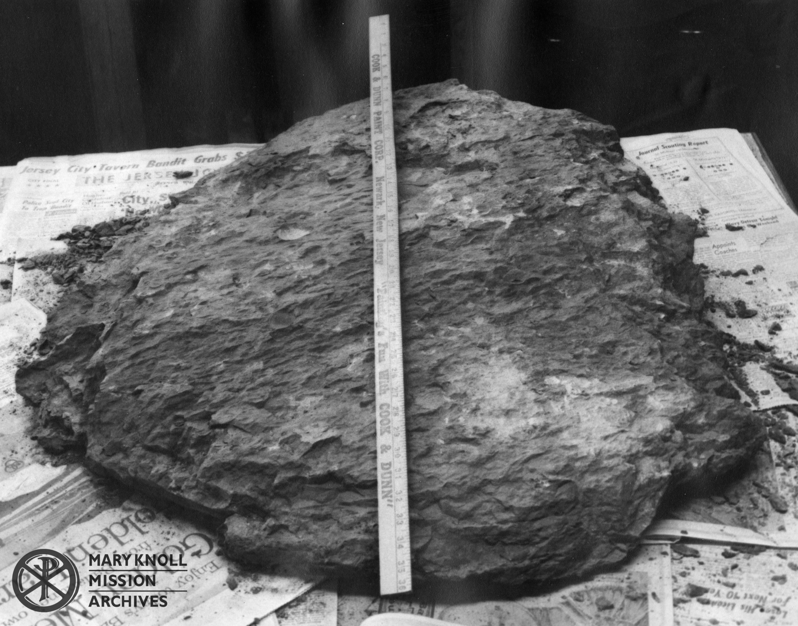 Top Half of Helderburg Rock with ruler, 1961