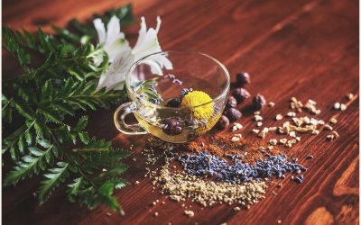 Herbal Remedies of the Early Maryknoll Sisters