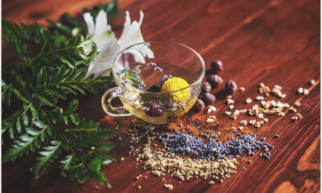 Herbal Remedies of the Early Maryknoll Sisters