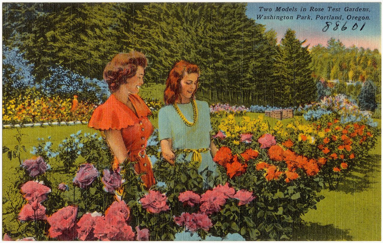 Two_models_in_rose_test_gardens,_Washington_Park,_Portland,_Oregon_(88601) Two models in Rose Test Gardens, Washington Park, Portland, Oregon, c. 1954.